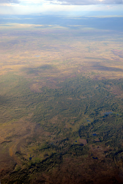 landforms biome tundra alaskan taiga wonderlane fairbanks larch rivers wetlands clouds